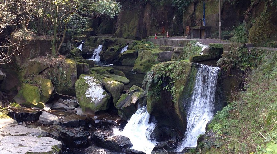 🌊 세키요시 수로 (세키요시노소수이코) 이미지 3